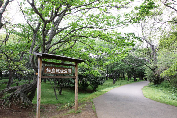 佐倉城址公園看板