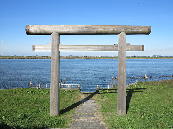 大きな木の鳥居と海