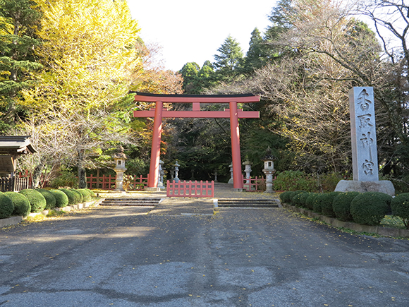 木々に囲まれた赤い鳥居