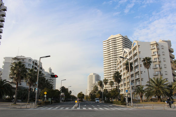 街並みのあちこちにパームツリー