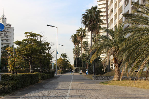 車道のように広い歩道