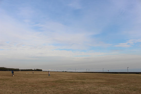 海と芝生だけの広大な公園