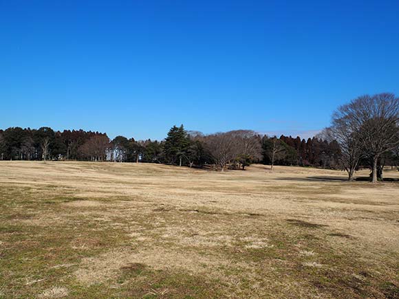 広大な芝生の広場