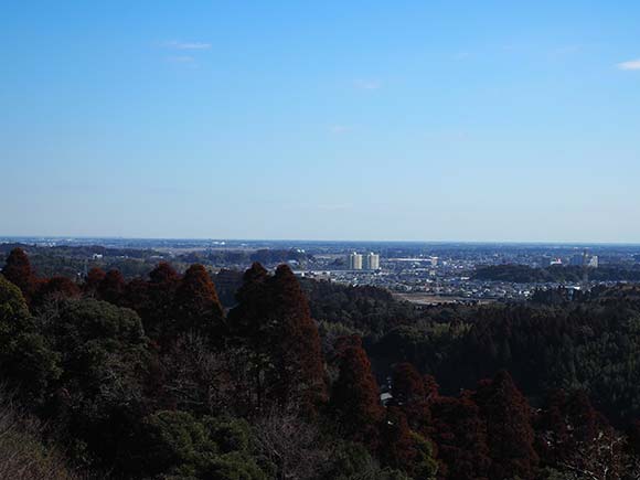 展望台から見える水平線