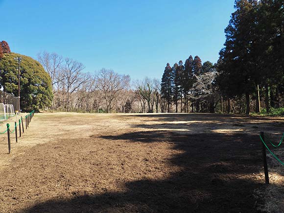 林の中にある芝生のキャンプ場