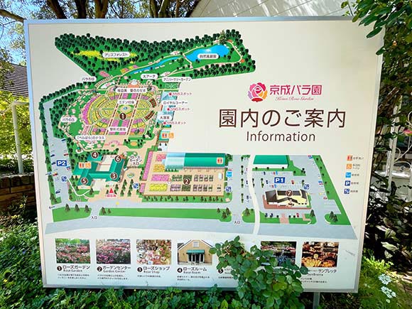 京成バラ園の園内マップ