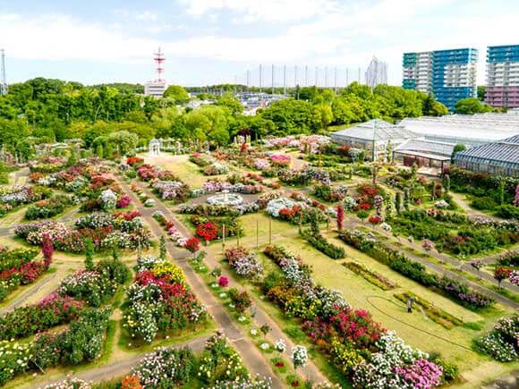 上空から見た庭園