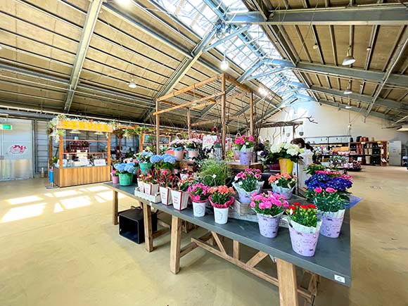 花の鉢が並ぶ店内