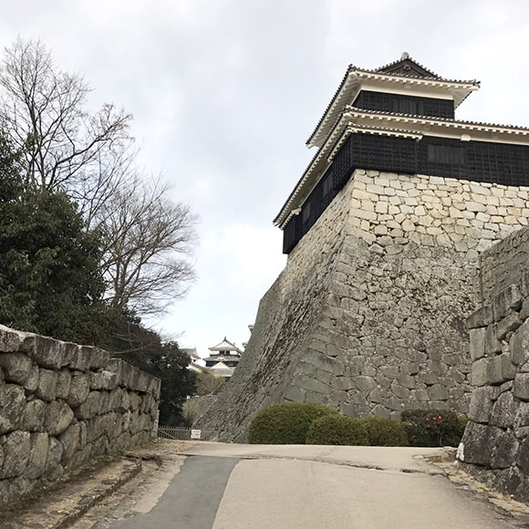 高く聳える石壁と遠くに見える天守閣