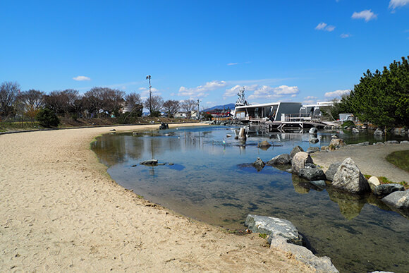 じゃぶじゃぶ池のような人工ビーチ