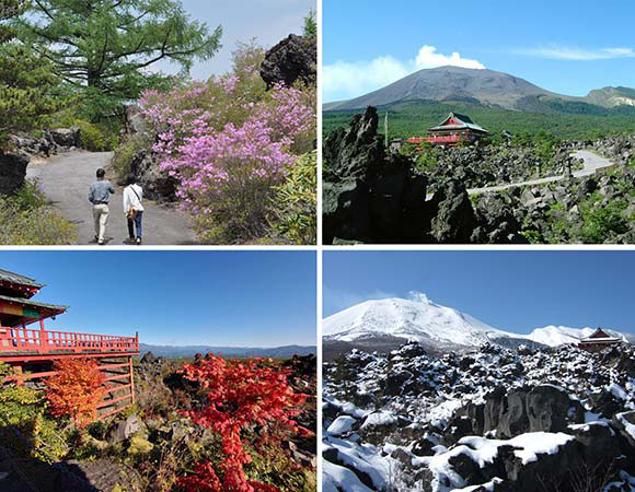 紅葉や雪化粧の園内の様子