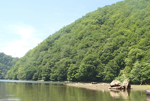 手前に穏やかな川と奥に丸い山