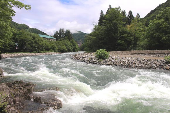 石の川辺と水流豊かな川