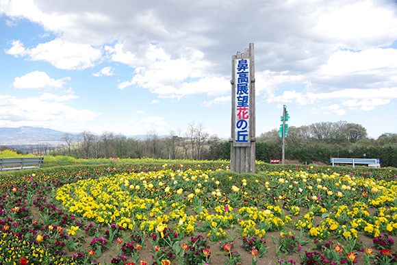 黄色や赤の花が咲いた花壇と看板