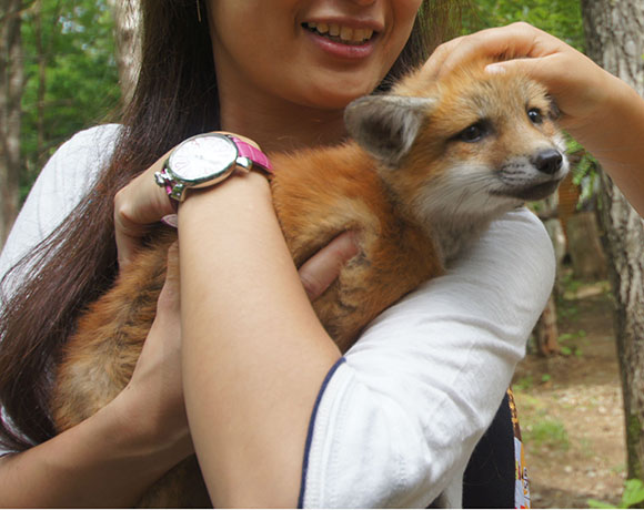 ツイッターで話題 ヤバすぎるふれあい動物園 ノースサファリサッポロ とは 免許と一緒に タイムズクラブ