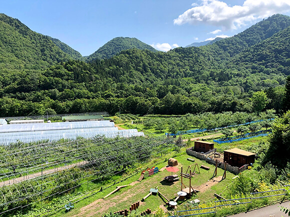 高いところから見る園内と山