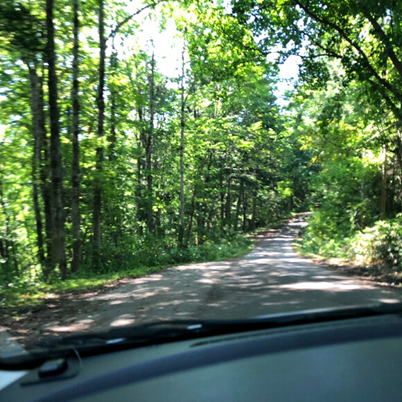 車窓から見る山道