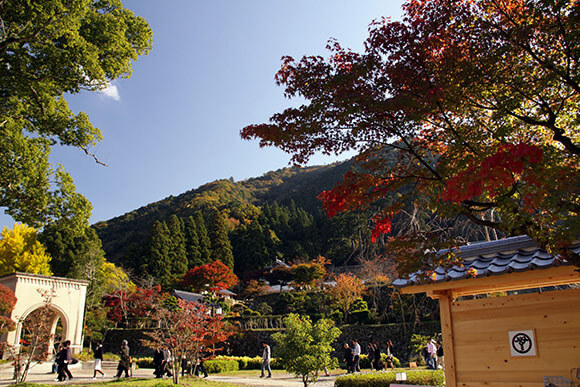 登城橋がある広場の紅葉