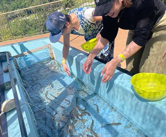 魚が泳ぐ水槽に手を伸ばす女性たち