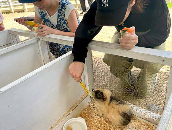 トングを使って餌をあげる女性たち