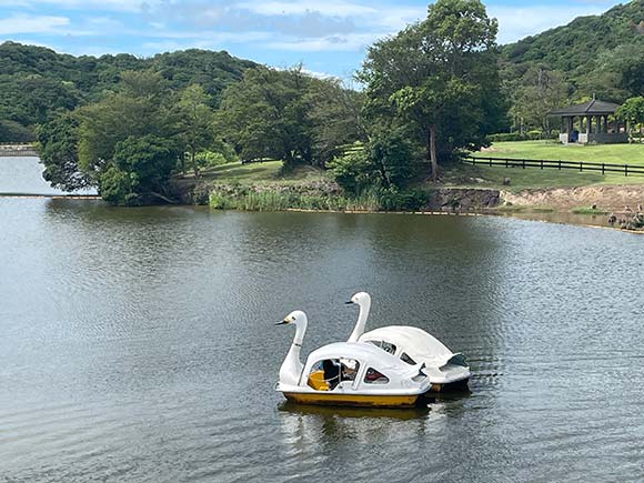 湖に浮かぶ2台のスワンボート