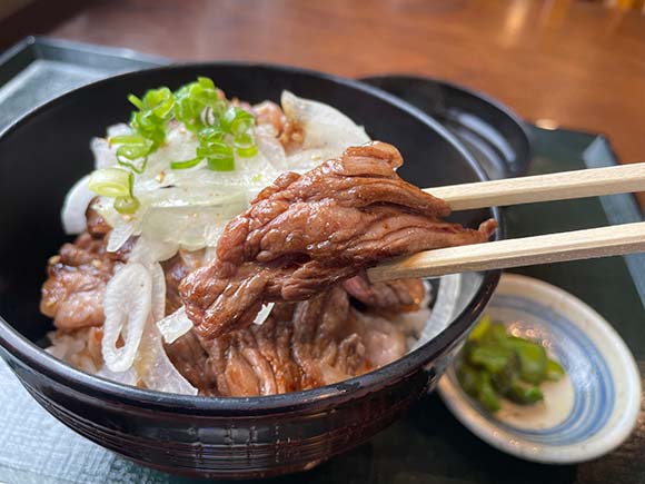 牛肉が盛られた丼ぶり