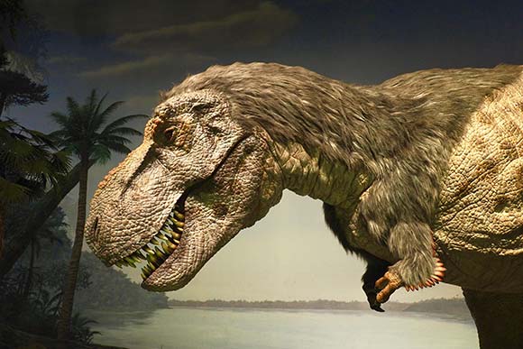 毛のあるティラノサウルス