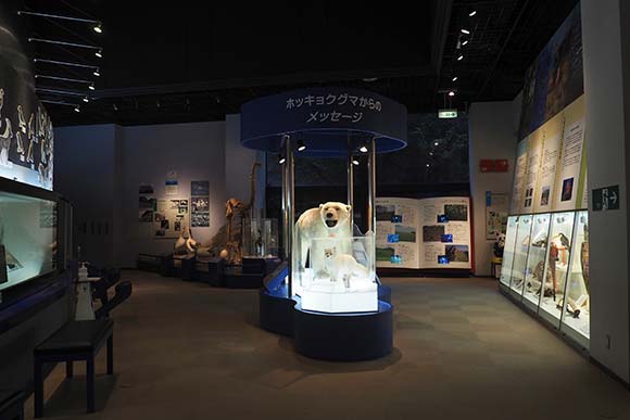 地球環境や絶滅危惧種の展示物