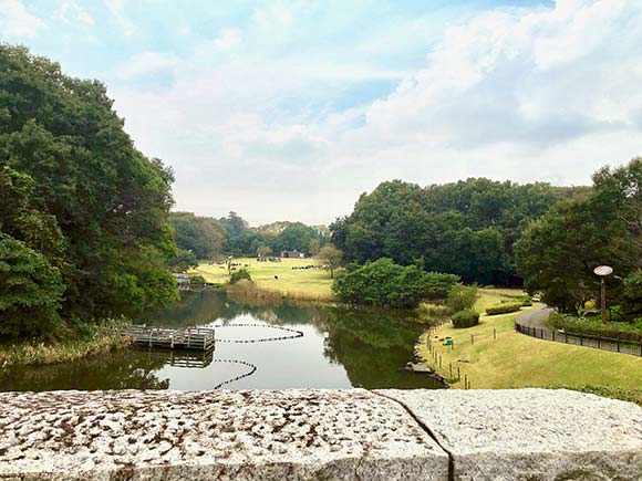 橋の上から見た野外施設の景色