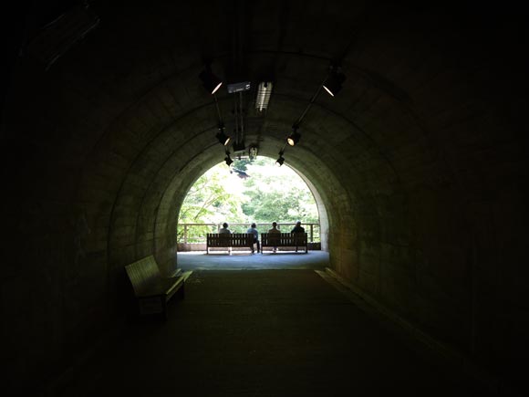 トンネルから見える緑