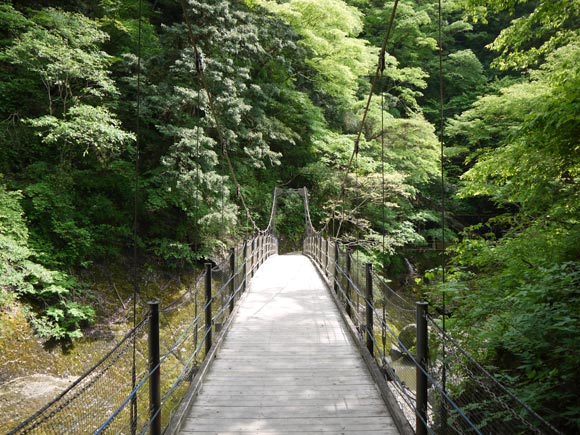 緑あふれる吊り橋