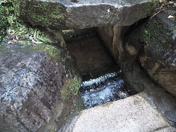 岩を流れる湧き水