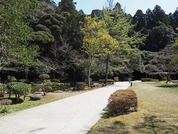 木々の間の整備された道