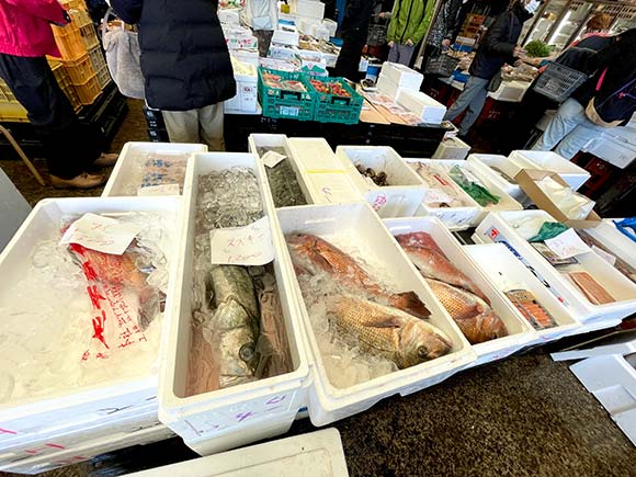 店頭に並ぶ鮮魚の数々