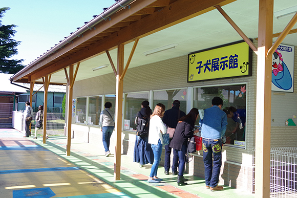 子犬展示館の外観