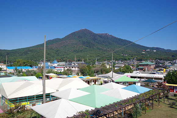 展望台からの風景