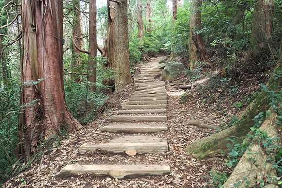 山道と舗装された木の階段