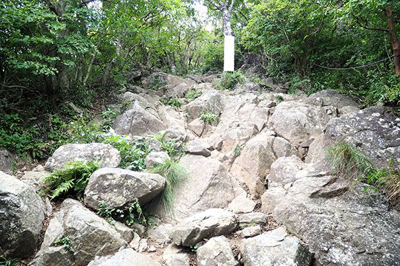 岩が積み重なった場所