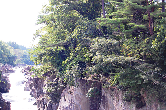 木々が茂る岩の淵