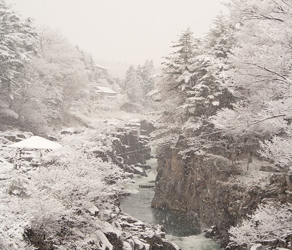 雪で真っ白になった渓谷