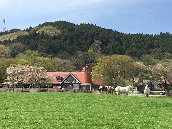 服部牧場の建物と馬たち