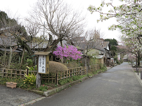 古民家のような建物が並ぶ通り