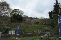 湖畔園地遠景