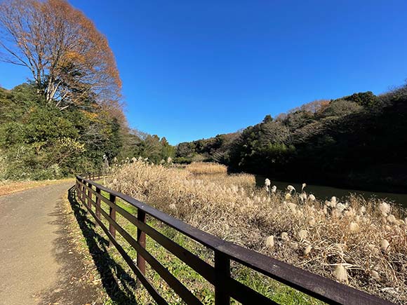 左右が山に囲まれた道