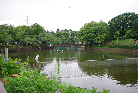 白鳥池全景