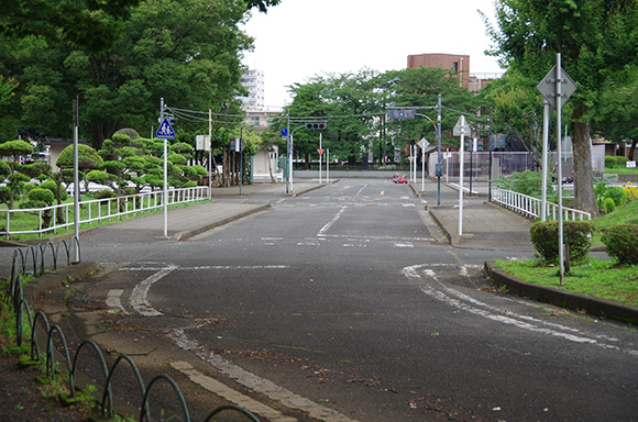 道路標識や白線が見える園内道路