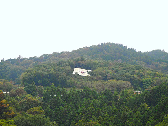 緑に囲まれたラブレター