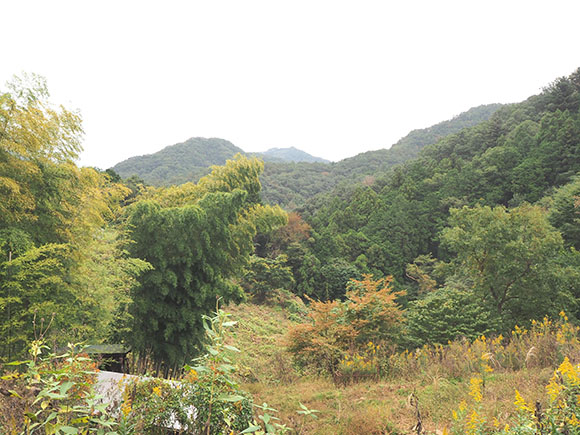 山々に囲まれた景色