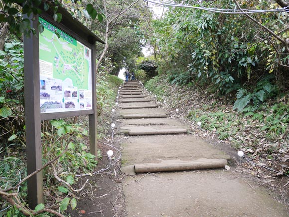 自然あふれる道