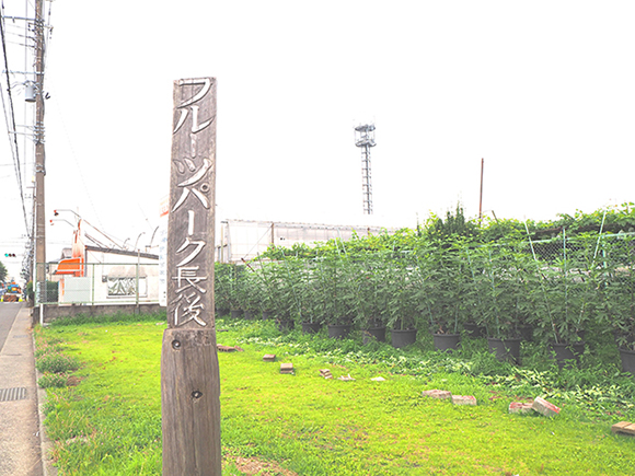 フルーツパーク長後看板